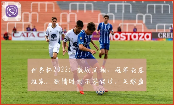 世界杯2022：激战正酣，冠军花落谁家，激情时刻不容错过，足球盛宴等你来