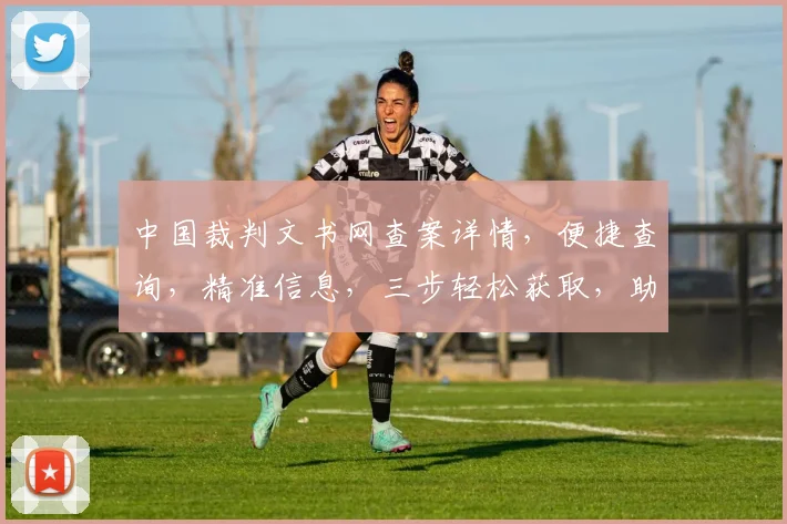中国裁判文书网查案详情，便捷查询，精准信息，三步轻松获取，助力法律研究。